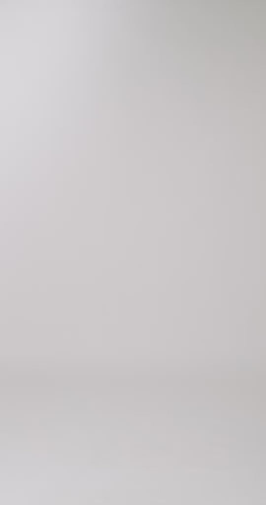 Ladda video: Link t-shirt Dark red